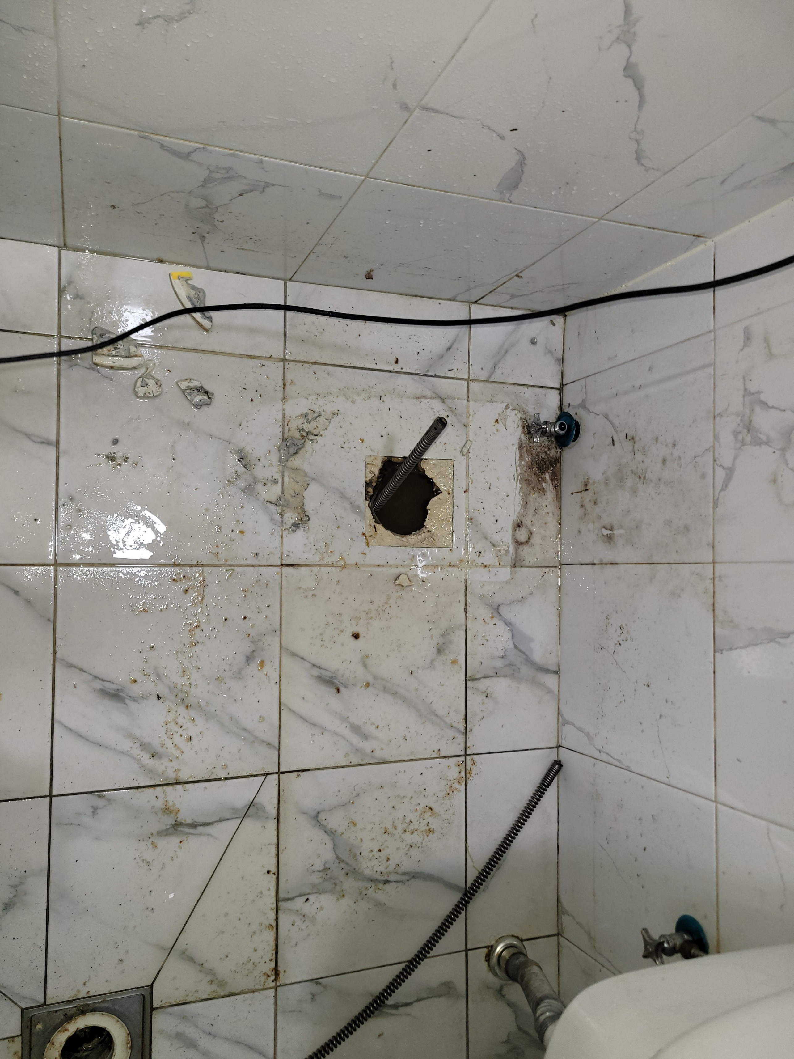 화장실변기역류