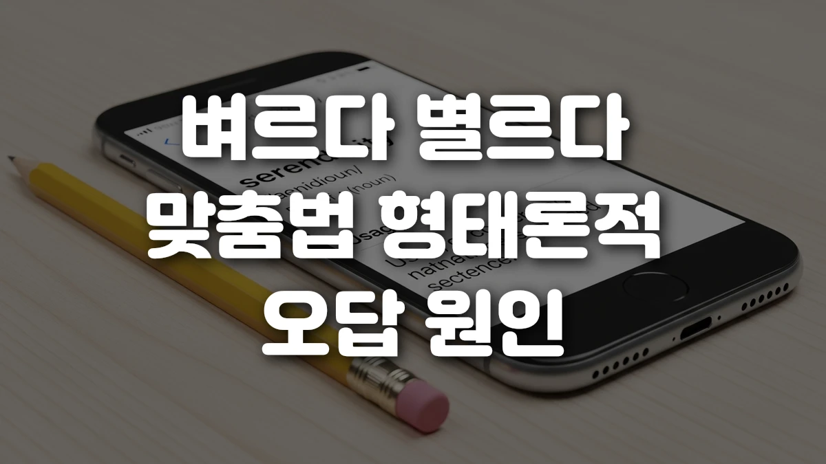 벼르다 별르다 맞춤법 형태론적 오답 원인
