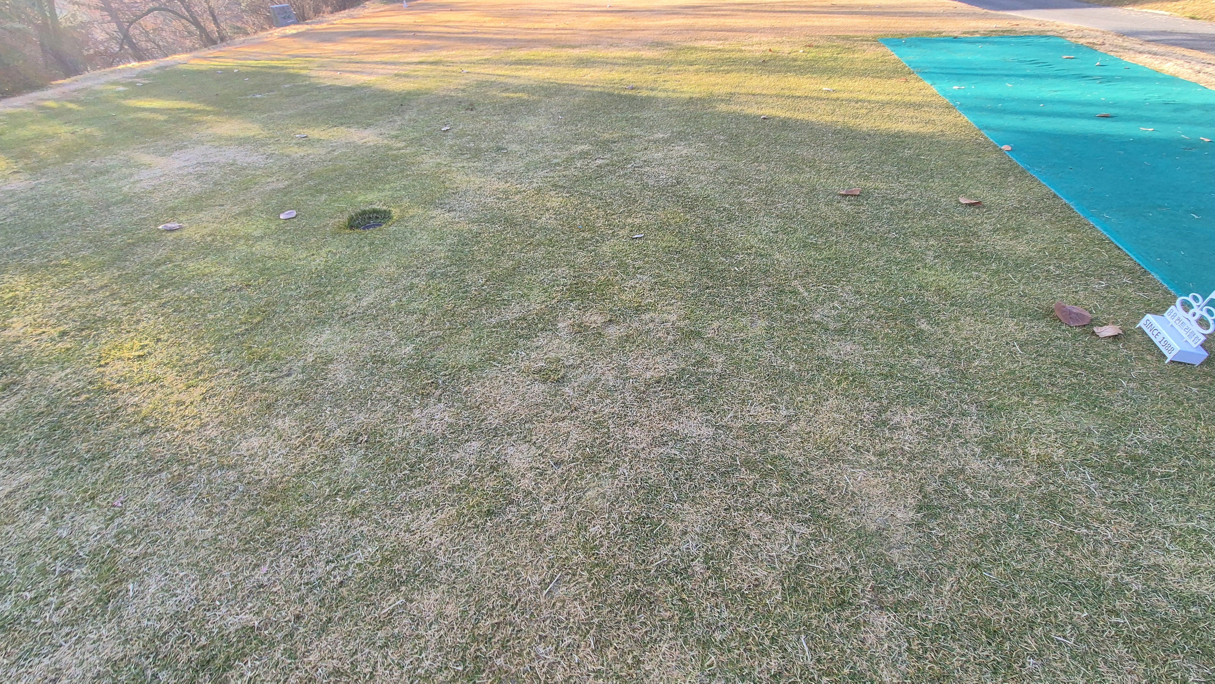 88cc 서코스 라운드 티잉구역상태