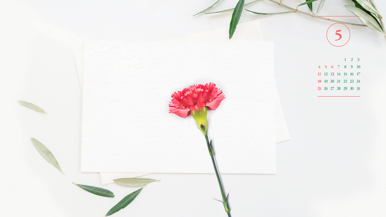 05 카네이션 A - 2025년5월 노트북배경화면