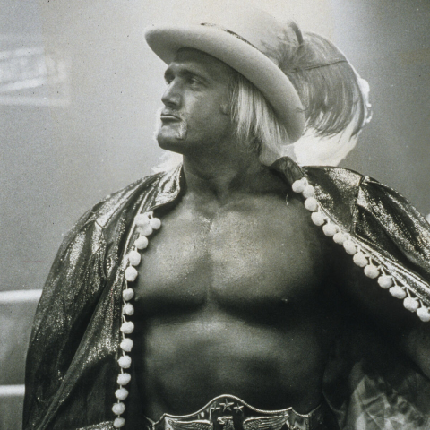 헐크 호건 사망 원인