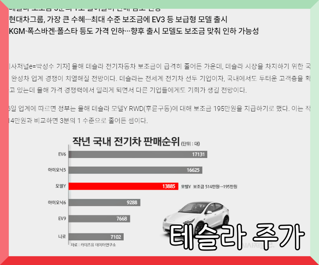 테슬라 주가 전망