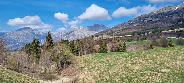 이세돌 vs 알파고 인공지능 시대 연 대결 정리_2