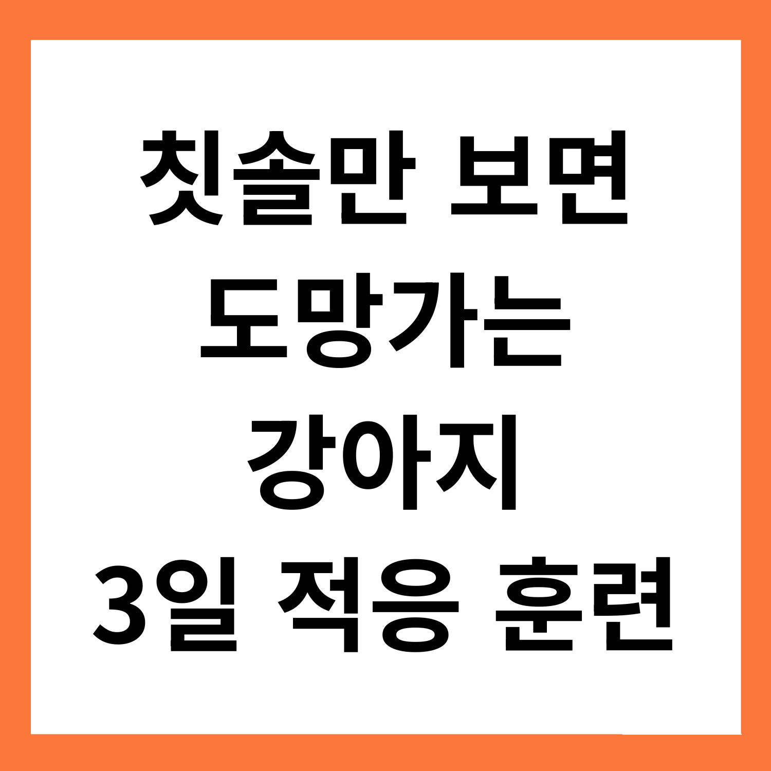 칫솔만 보면 도망가는 강아지, 3일 안에 적응시키는 훈련법