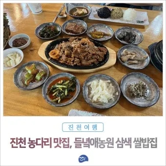 진천 맛집 베스트 10 추천으로 안내_5
