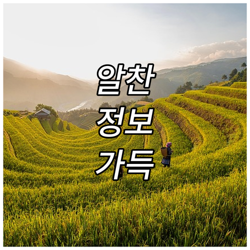 2025 전남 왕우렁이 지원사업 논벼..