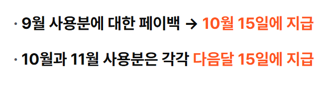 지급일시