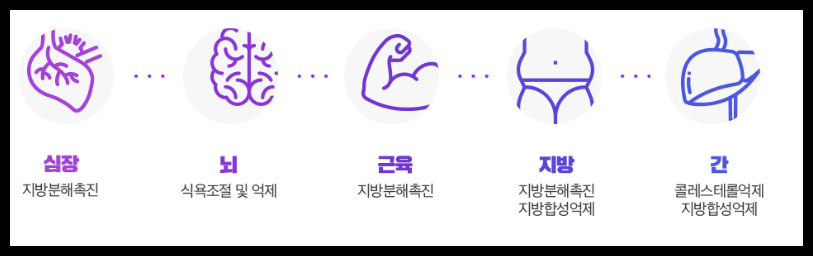 베라핏 다이어트 가격 후기