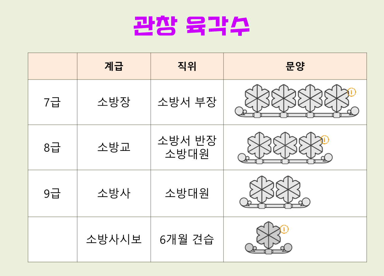 소방관 계급 총정리 (경찰 vs 군인 vs 공무원 비교)