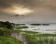 INFP 유형 특징 분석