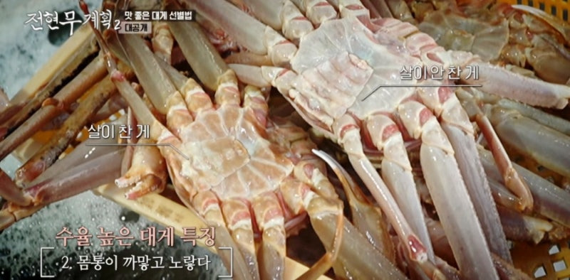 전현무 계획 2 영덕 대게 집
