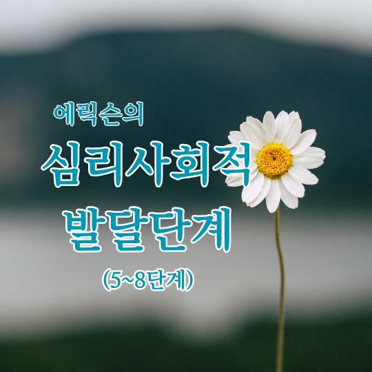 에릭슨의 심리사회적 발달단계