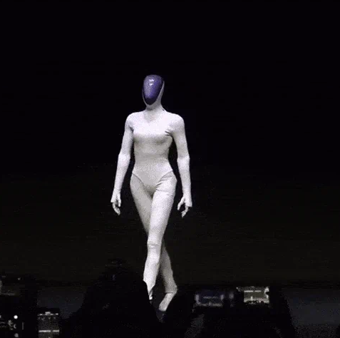 휴머노이드의 미래