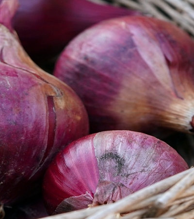 양파 효능 사진45