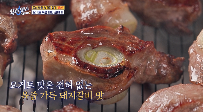 용산-요거트숙성대파갈매기