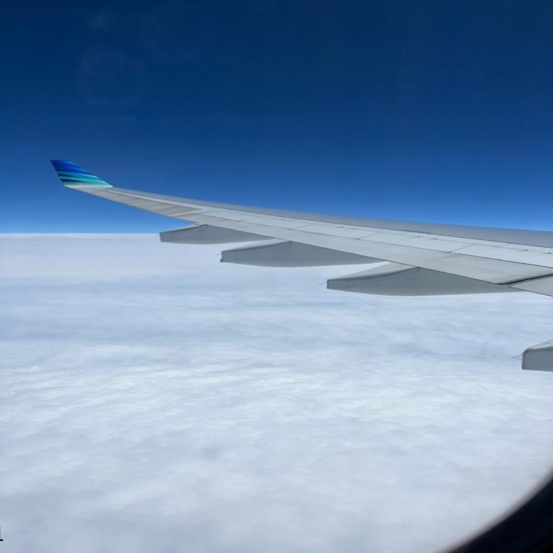 비행기 생존율 높이는 방법 5가지