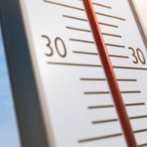 더위 먹었을때 증상