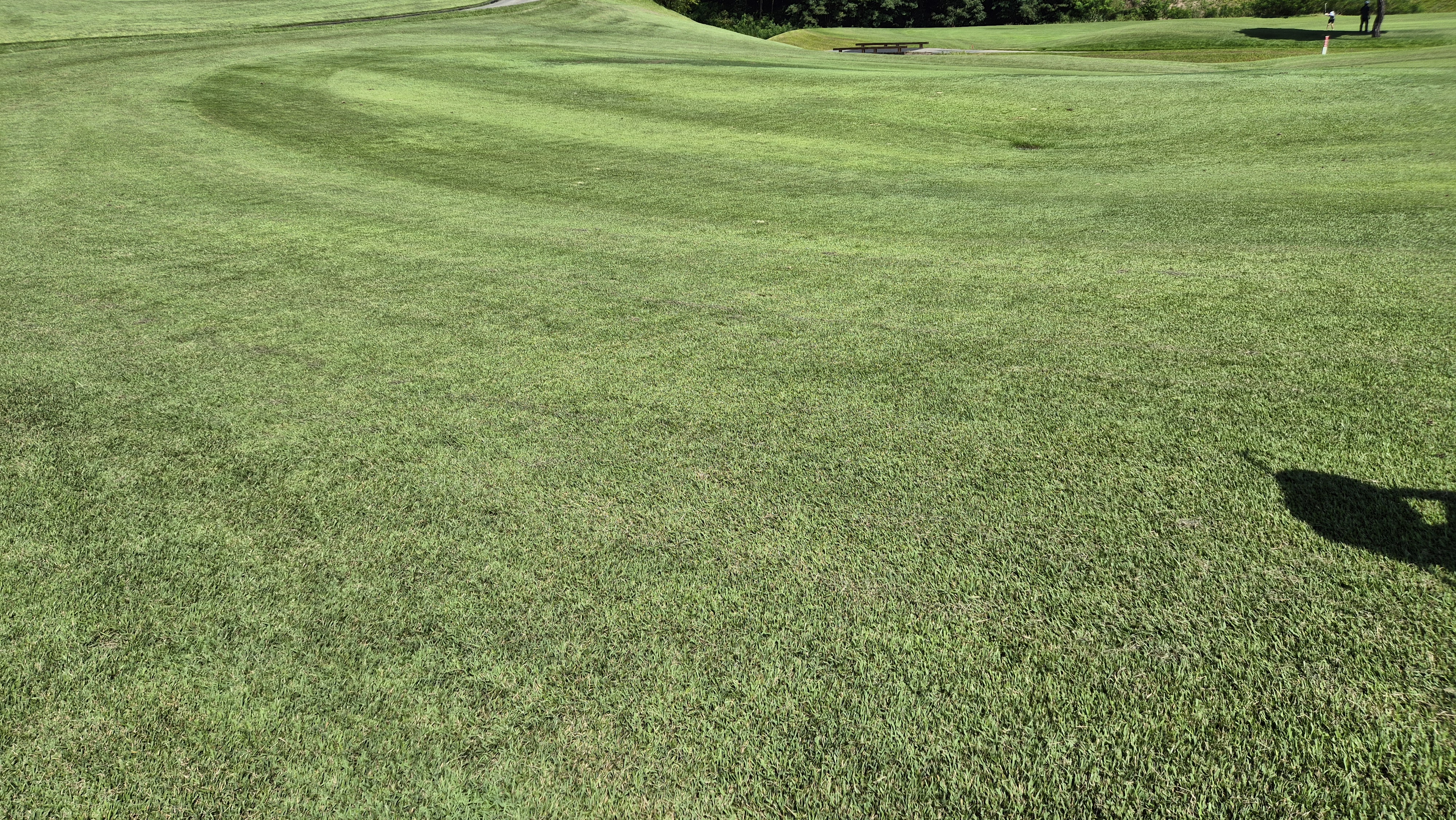 골프존카운티 천안 라운드 후기