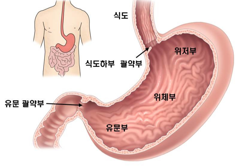 alt="위의 구조"