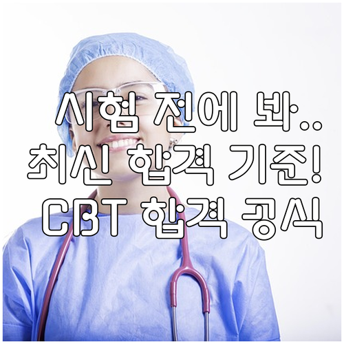 운전면허 학과시험 CBT 응시 절차와..