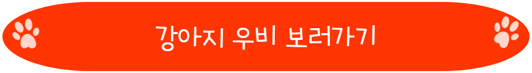 비오는 날 산책 시 필요한 강아지 우비 보러가기