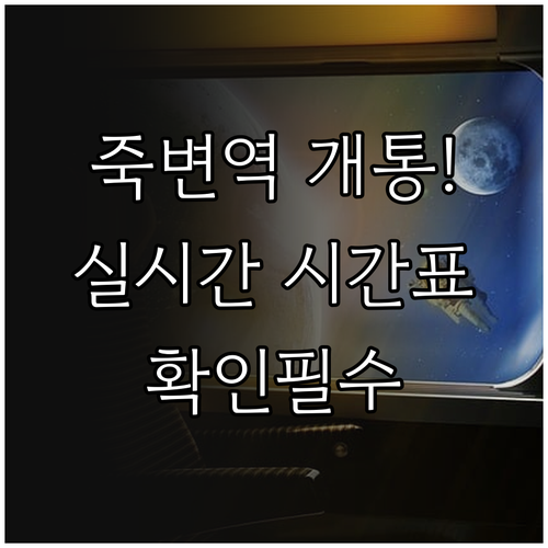 죽변역 개통 시기 및 실시간 열차 시..