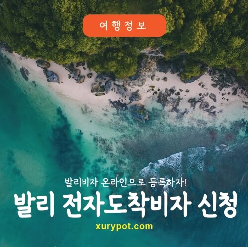 발리비자발급방법