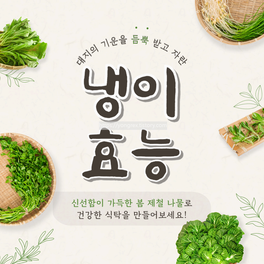 냉이 효능 및 레시피