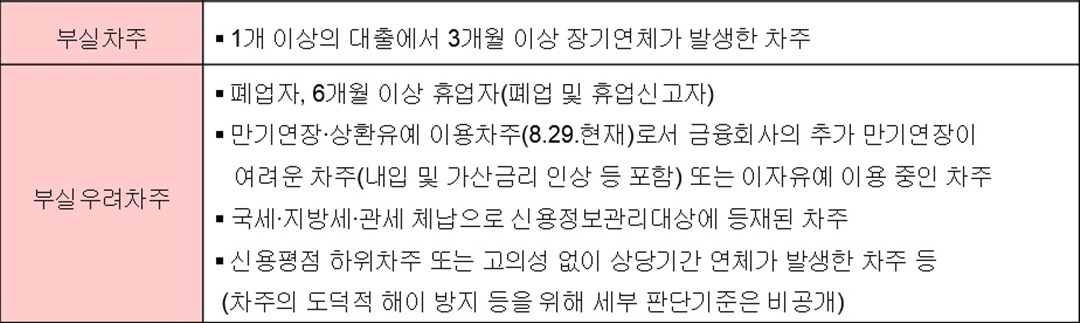 부실차주와 부실우려차주 설명표