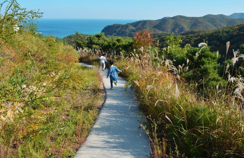 강릉 여행 추천 코스