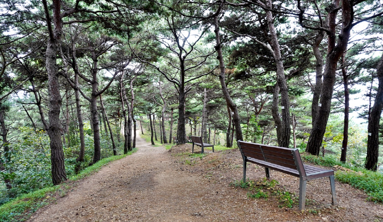 당진 삼선산수목원