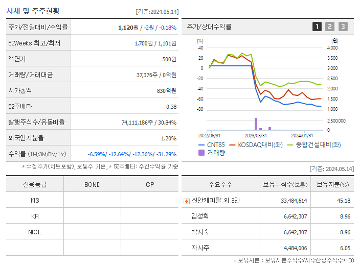 CNT85_기업개요