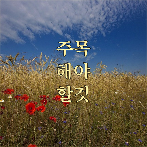 추석 전 자금 확보! 부산 소상공인 ..