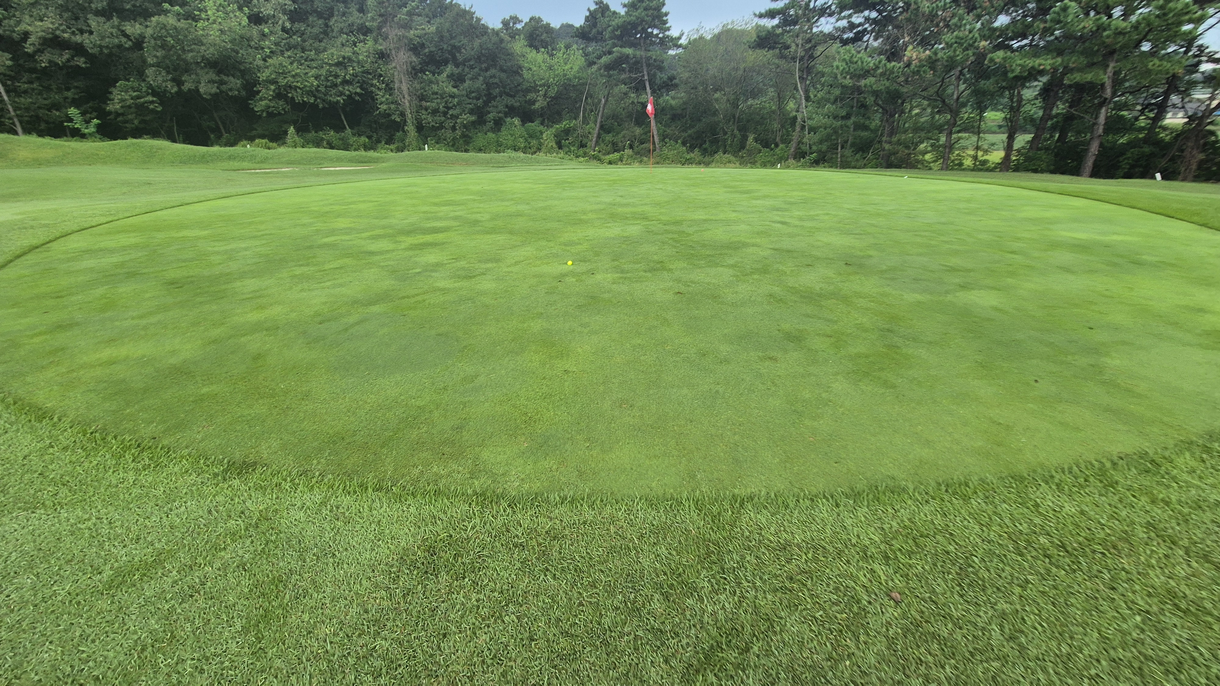 도고cc 그린 난이도