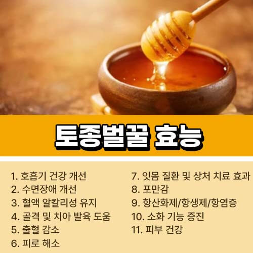 토종벌꿀 효능