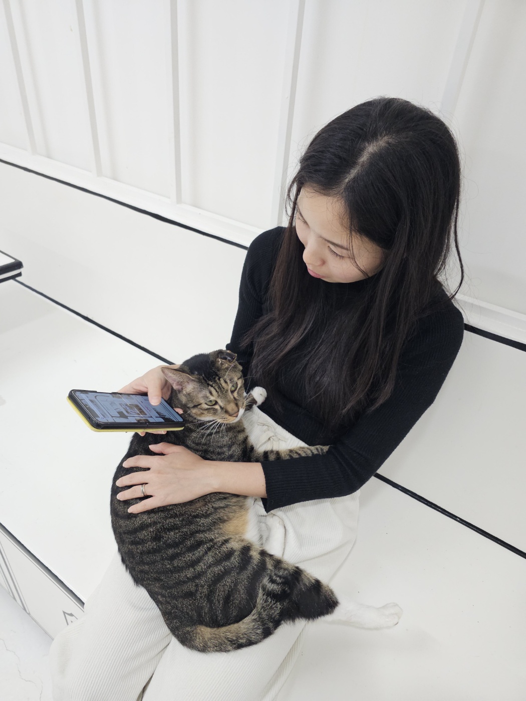 야옹이네 고양이 카페