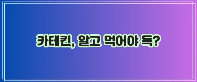 카테킨 효능 제대로 알고 올바르게 섭취해야 합니다