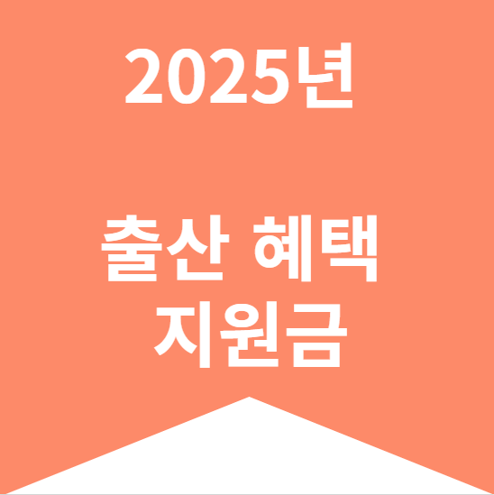 2025년 출산혜택 지원금
