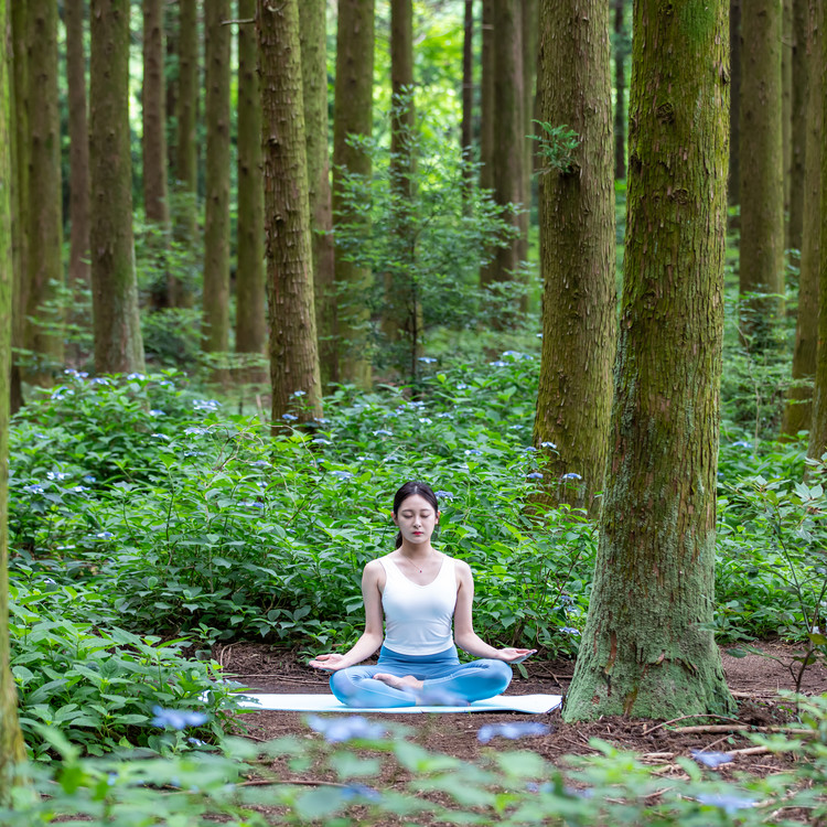 웰니스 여행 명상 이미지