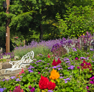 화담숲 수국축제