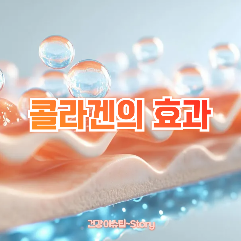 콜라겐의 효과