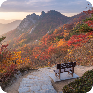 서울·수도권 당일치기 단풍 여행 명소 이미지