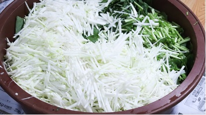 절임배추 20kg 사전예약, 할인판매