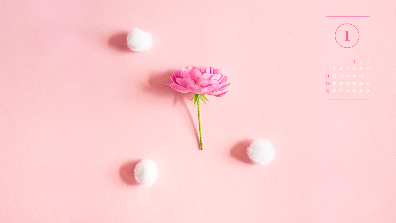 07 모란꽃 한송이 A - 2026년1월 달력배경화면
