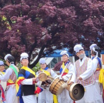 오륜대 국제 걷기 축제