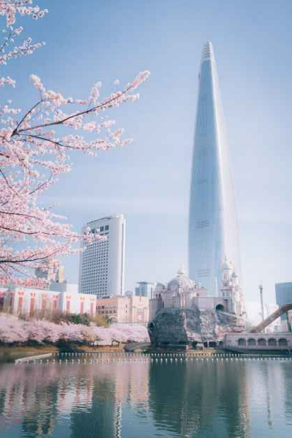 석촌호수 벚꽃축제 일정