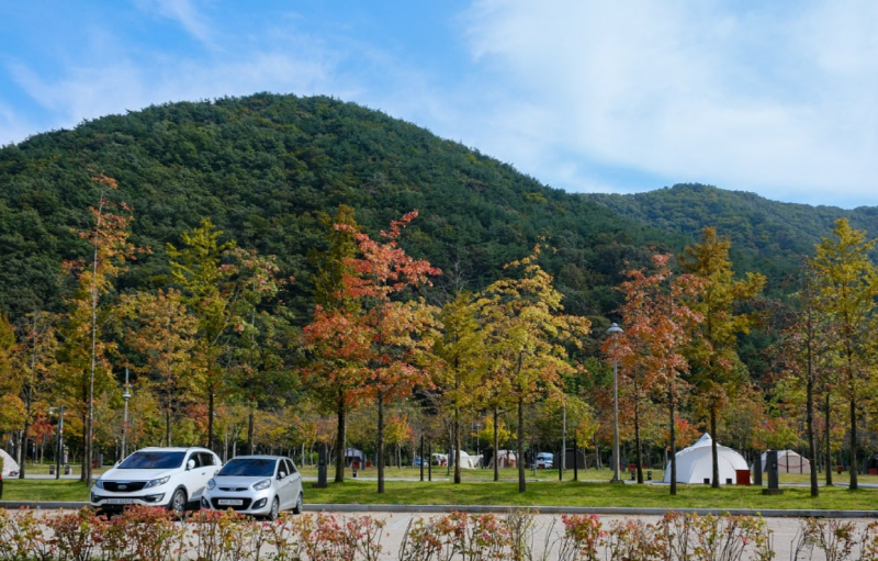 상소동 산림욕장