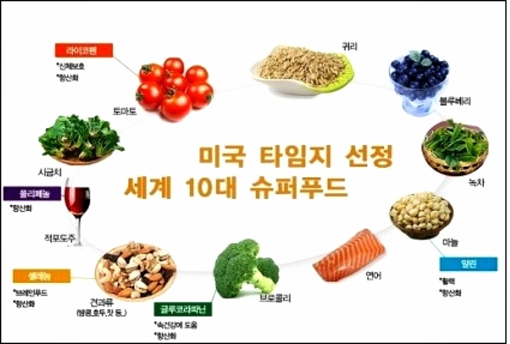건강한 식품 선호_건강한 다이어트의 신호