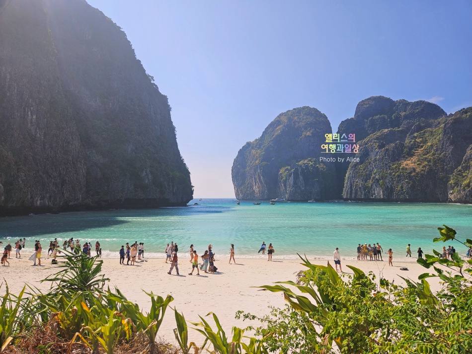 푸켓 스노클링, 피피섬 마야섬 몽키 비치 카이섬 투어 리뷰 코스 가격