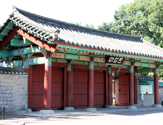 2024년 해돋이 축제